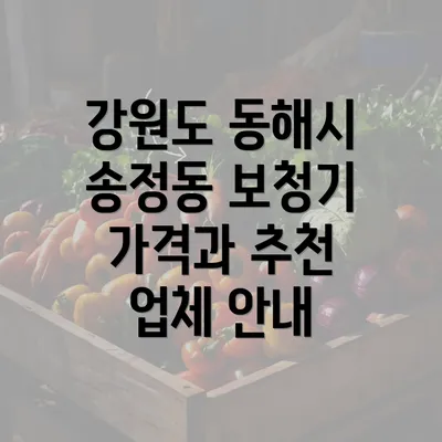 강원도 동해시 송정동 보청기 가격과 추천 업체 안내