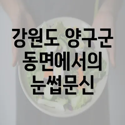 강원도 양구군 동면에서의 눈썹문신