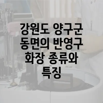 강원도 양구군 동면의 반영구 화장 종류와 특징