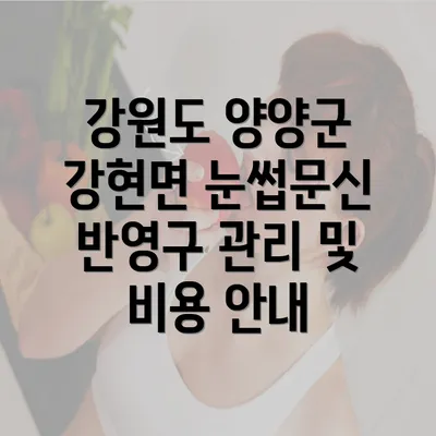 강원도 양양군 강현면 눈썹문신 반영구 관리 및 비용 안내