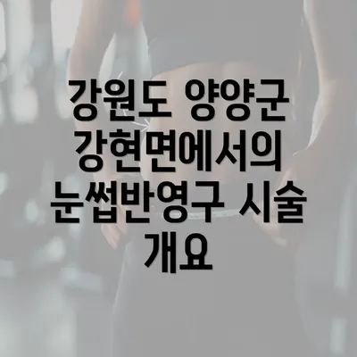 강원도 양양군 강현면에서의 눈썹반영구 시술 개요