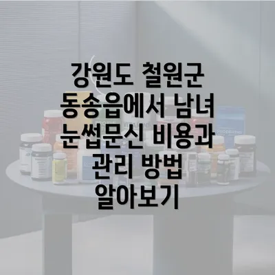 강원도 철원군 동송읍에서 남녀 눈썹문신 비용과 관리 방법 알아보기