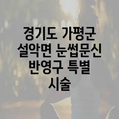 경기도 가평군 설악면 눈썹문신 반영구 특별 시술