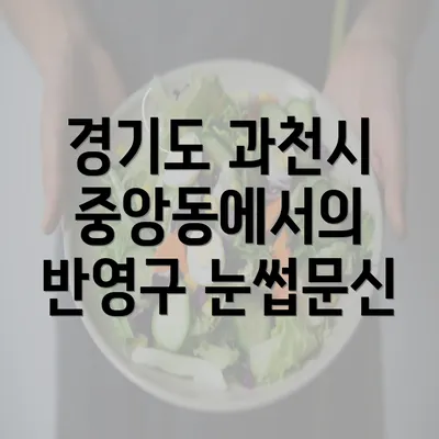 경기도 과천시 중앙동에서의 반영구 눈썹문신