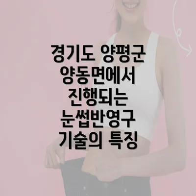 경기도 양평군 양동면에서 진행되는 눈썹반영구 기술의 특징