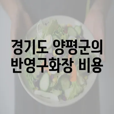 경기도 양평군의 반영구화장 비용