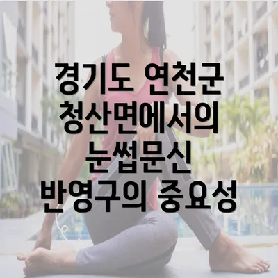 경기도 연천군 청산면에서의 눈썹문신 반영구의 중요성