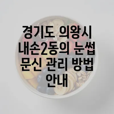 경기도 의왕시 내손2동의 눈썹 문신 관리 방법 안내