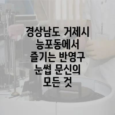 경상남도 거제시 능포동에서 즐기는 반영구 눈썹 문신의 모든 것