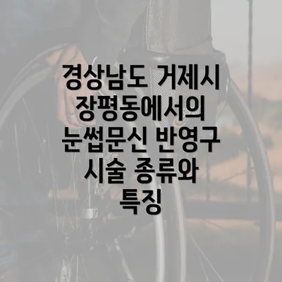 경상남도 거제시 장평동에서의 눈썹문신 반영구 시술 종류와 특징