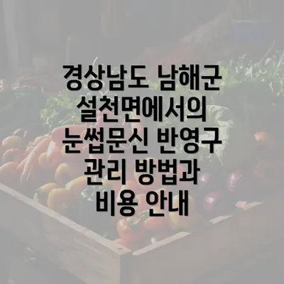 경상남도 남해군 설천면에서의 눈썹문신 반영구 관리 방법과 비용 안내