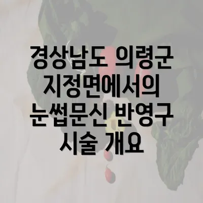 경상남도 의령군 지정면에서의 눈썹문신 반영구 시술 개요