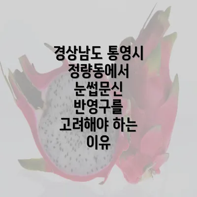 경상남도 통영시 정량동에서 눈썹문신 반영구를 고려해야 하는 이유