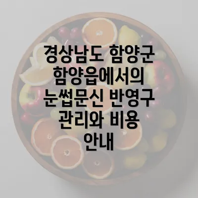 경상남도 함양군 함양읍에서의 눈썹문신 반영구 관리와 비용 안내