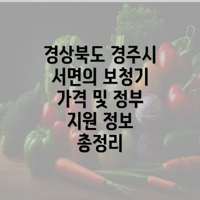 경상북도 경주시 서면의 보청기 가격 및 정부 지원 정보 총정리