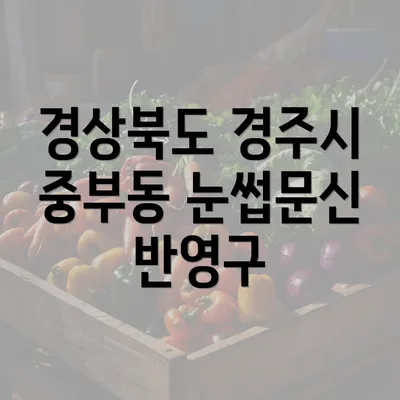 경상북도 경주시 중부동 눈썹문신 반영구