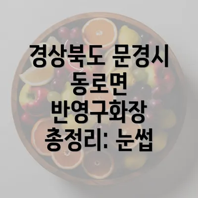 경상북도 문경시 동로면 반영구화장 총정리: 눈썹