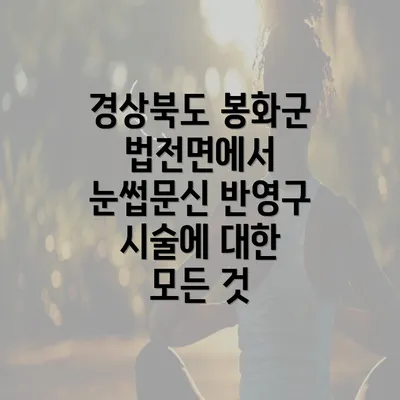 경상북도 봉화군 법전면에서 눈썹문신 반영구 시술에 대한 모든 것