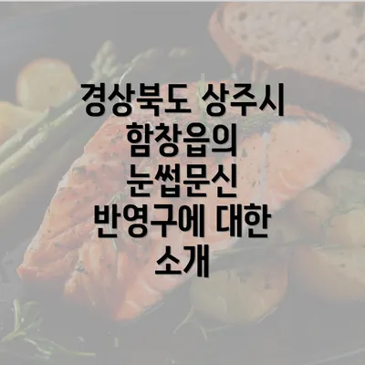 경상북도 상주시 함창읍의 눈썹문신 반영구에 대한 소개