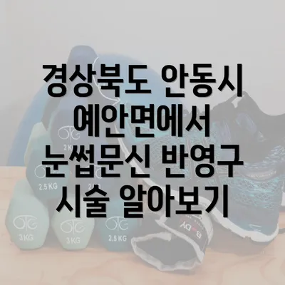 경상북도 안동시 예안면에서 눈썹문신 반영구 시술 알아보기