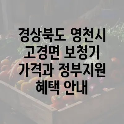 경상북도 영천시 고경면 보청기 가격 정보