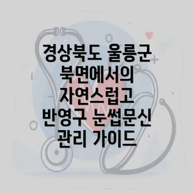 경상북도 울릉군 북면에서의 자연스럽고 반영구 눈썹문신 관리 가이드