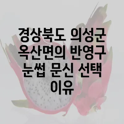 경상북도 의성군 옥산면의 반영구 눈썹 문신 선택 이유