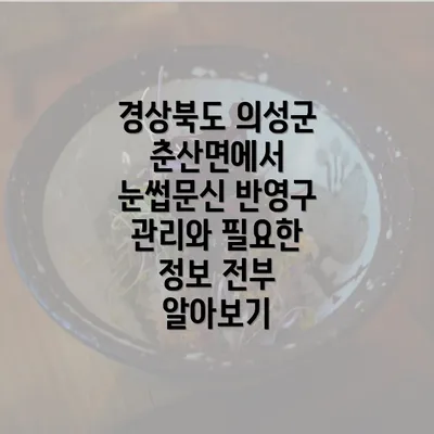 경상북도 의성군 춘산면에서 눈썹문신 반영구 관리와 필요한 정보 전부 알아보기