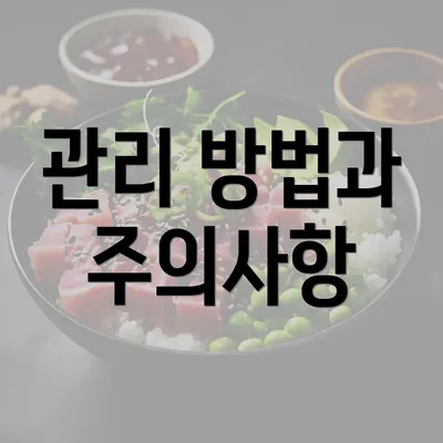 관리 방법과 주의사항