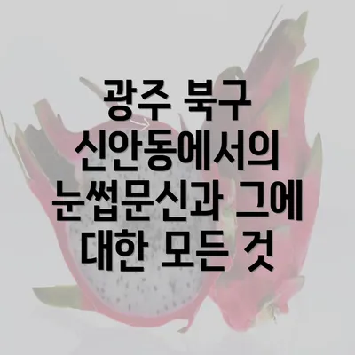 광주 북구 신안동에서의 눈썹문신과 그에 대한 모든 것