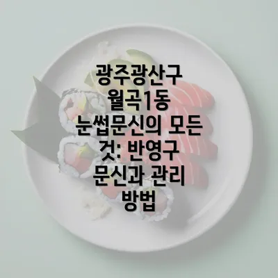 광주광산구 월곡1동 눈썹문신의 모든 것: 반영구 문신과 관리 방법