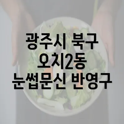 광주시 북구 오치2동 눈썹문신 반영구