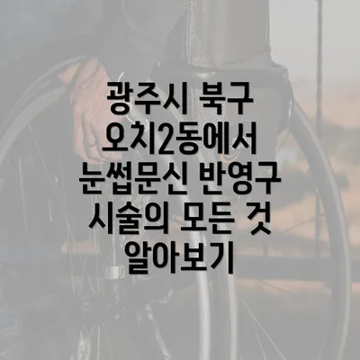 광주시 북구 오치2동에서 눈썹문신 반영구 시술의 모든 것 알아보기