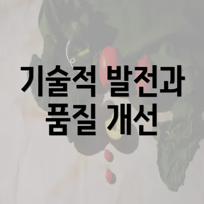 기술적 발전과 품질 개선