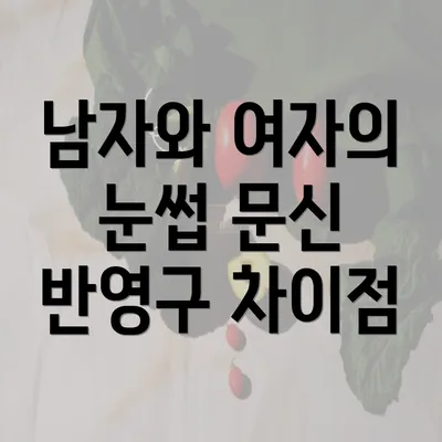 남자와 여자의 눈썹 문신 반영구 차이점