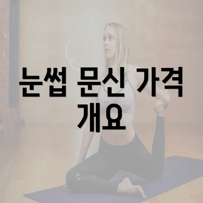 눈썹 문신 가격 개요