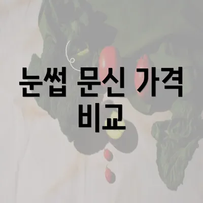 눈썹 문신 가격 비교