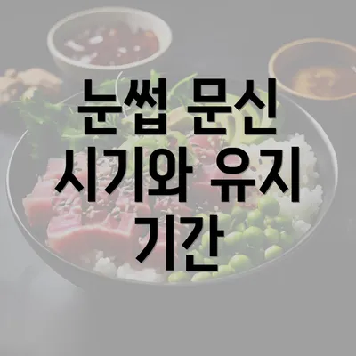 눈썹 문신 시기와 유지 기간