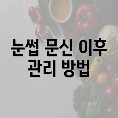 눈썹 문신 이후 관리 방법