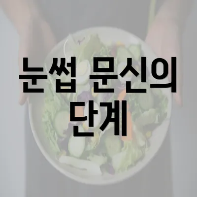 눈썹 문신의 단계