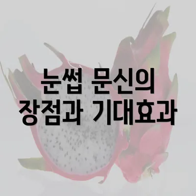 눈썹 문신의 장점과 기대효과