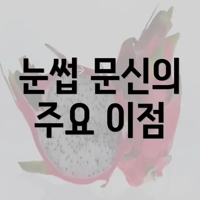 눈썹 문신의 주요 이점