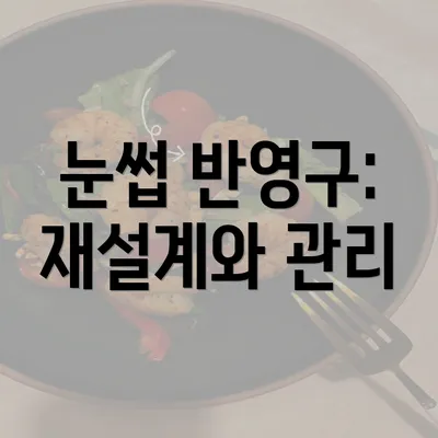 눈썹 반영구: 재설계와 관리