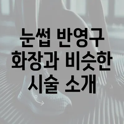 눈썹 반영구 화장과 비슷한 시술 소개