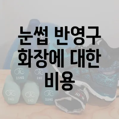 눈썹 반영구 화장에 대한 비용