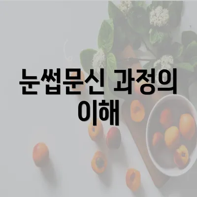 눈썹문신 과정의 이해