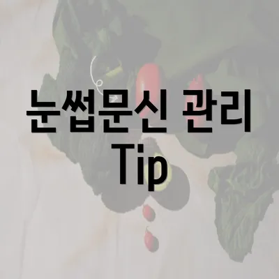 눈썹문신 관리 Tip