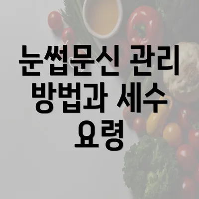 눈썹문신 관리 방법과 세수 요령