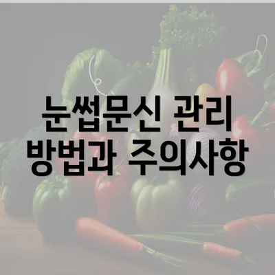 눈썹문신 관리 방법과 주의사항