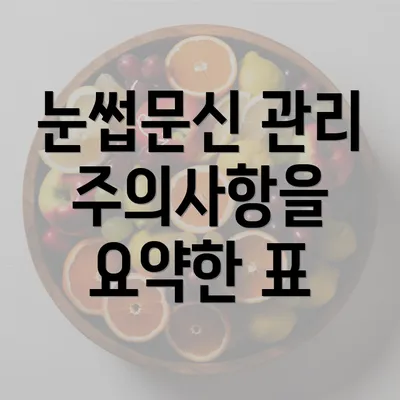 눈썹문신 관리 주의사항을 요약한 표